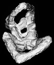 sculture-accartocciate