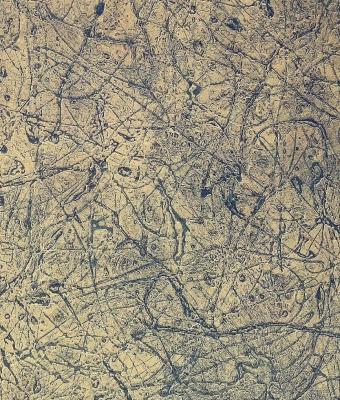 espressione-cromatica