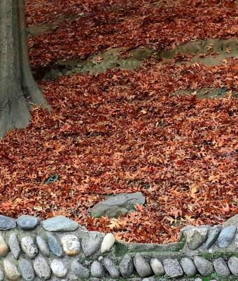 autunno