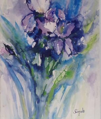 iris