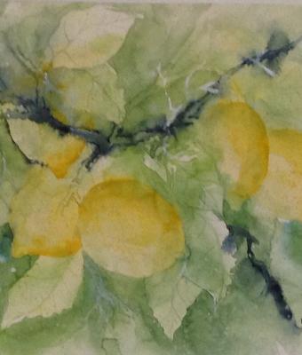 limoni