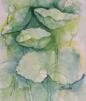 foglie-di-loto