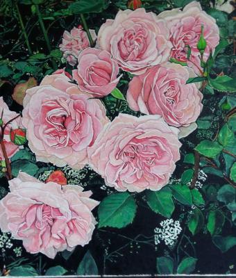 rose-queen-margrethe-fiori
