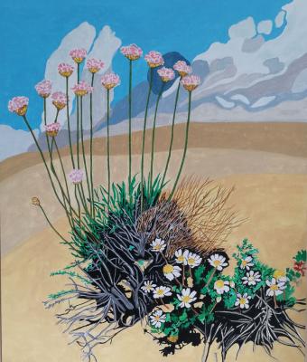 armeria-maritima-e-margherite