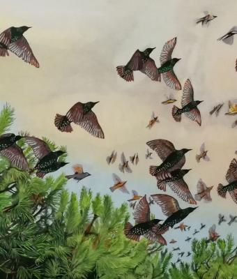starlings-at-sunset