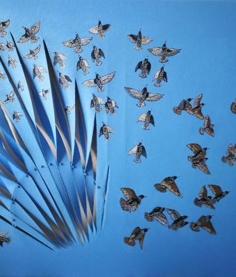 starlings-73