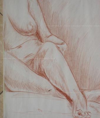 nudo