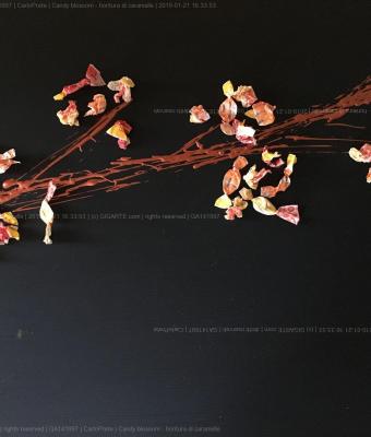candy-blossom-fioritura-di-c