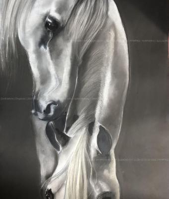 eleganza