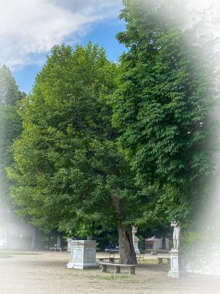 giardini-reali