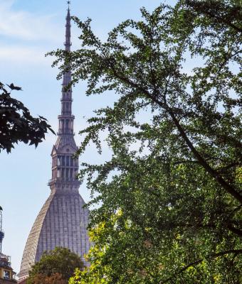 mole-antonelliana