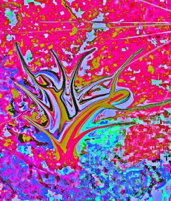 dancecolors