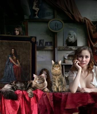 i-gatti