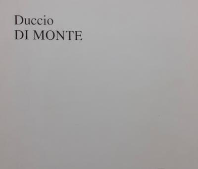 ud-a-universit-degli-studi-di-pescara-facolt-di-architettura-mostra-di-duccio-di-monte