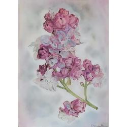 fiori
