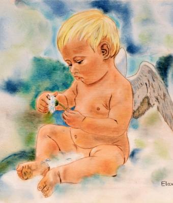 cherubino