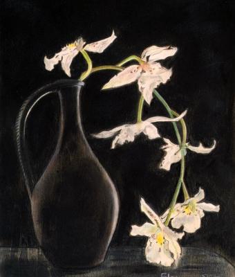 orchidee