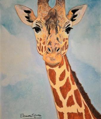 giraffa