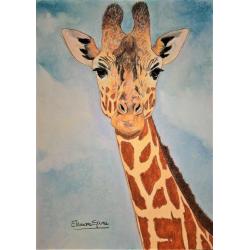 giraffa