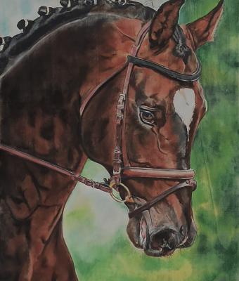 horse