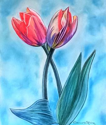 tulipani