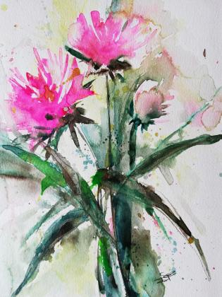 fiori-rosa-acquerello-su
