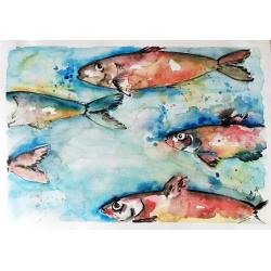 sardine-fase-i
