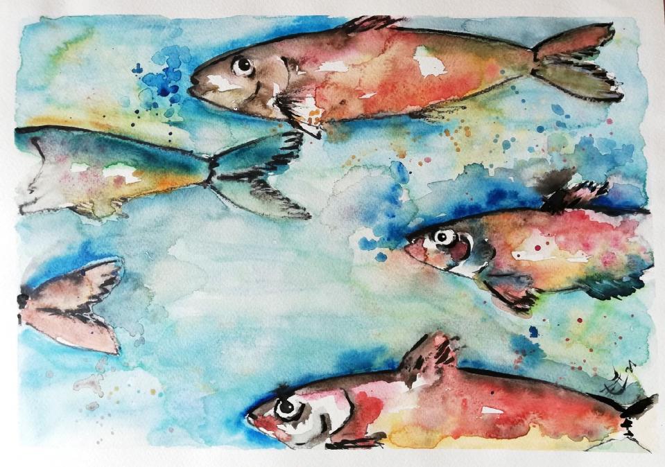 sardine-fase-i