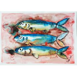 sardine-fase-ii-acquerell