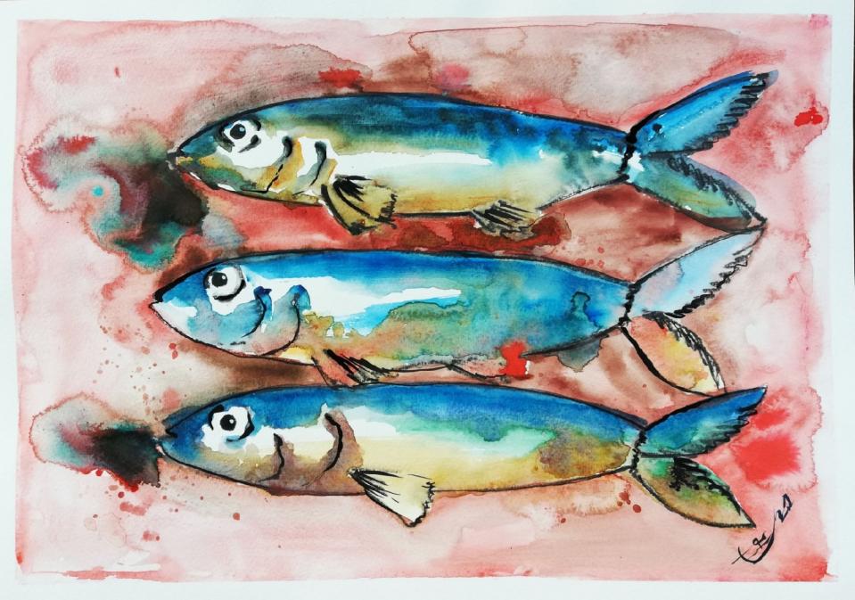 sardine-fase-ii-acquerell
