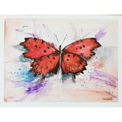 rosso-di-farfalla-acquere