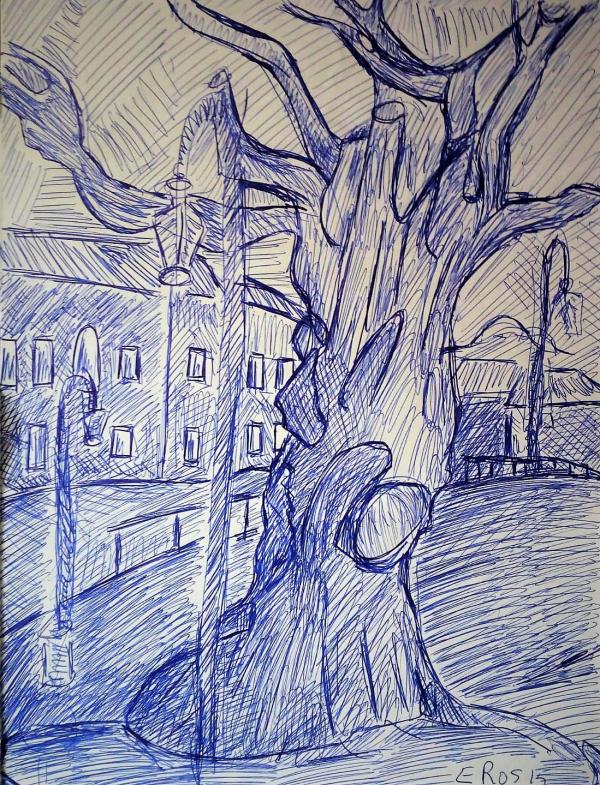 olmo-albero-della-vita