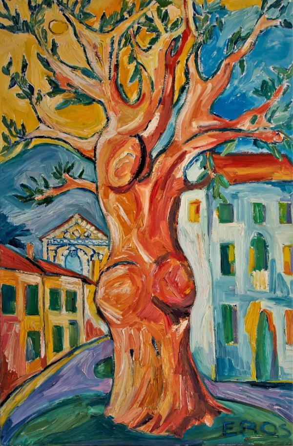 l-olmo-l-albero-della-vita