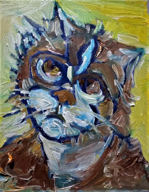 il-gatto