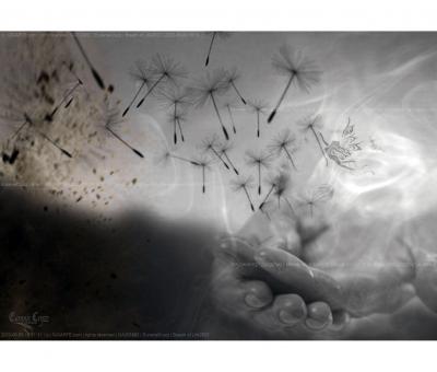 breath-of-life