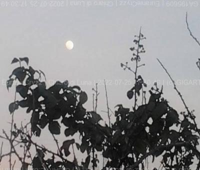 chiaro-di-luna