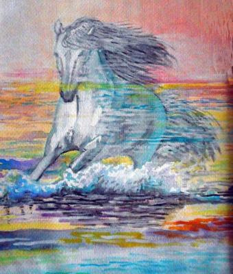 cavallo-di-vento