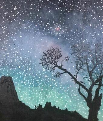 l-universo-elegante