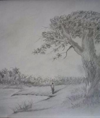 il-viandante
