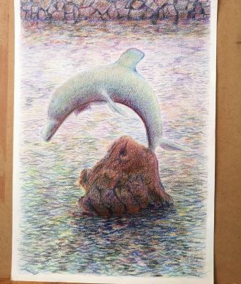 delfino