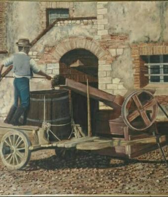 vendemmia