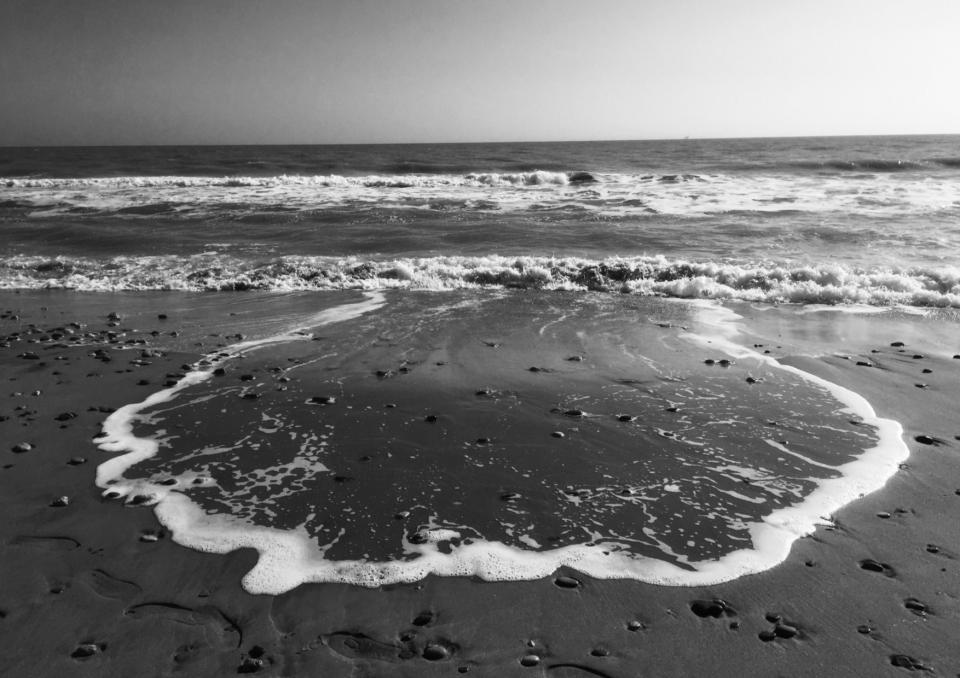 la-forma-dell-acqua