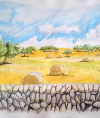 campagna-siciliana
