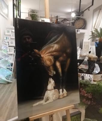 cavallo-e-cane