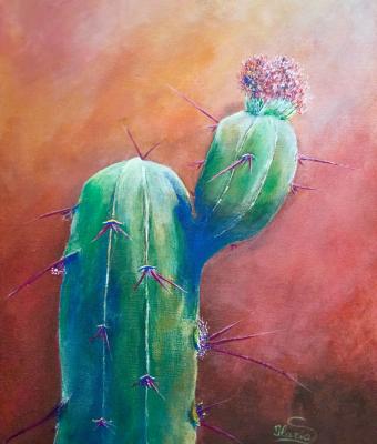 il-cactus-lo-specchio-della-v