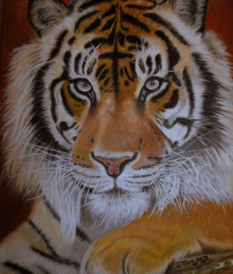 tigre
