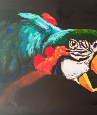 loro-il-pappagallo