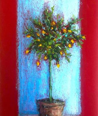 kumquat-citrus-japonica