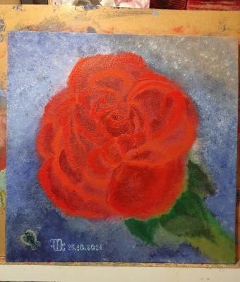 rosa