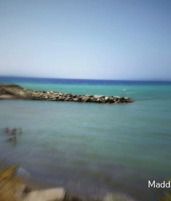 al-mare